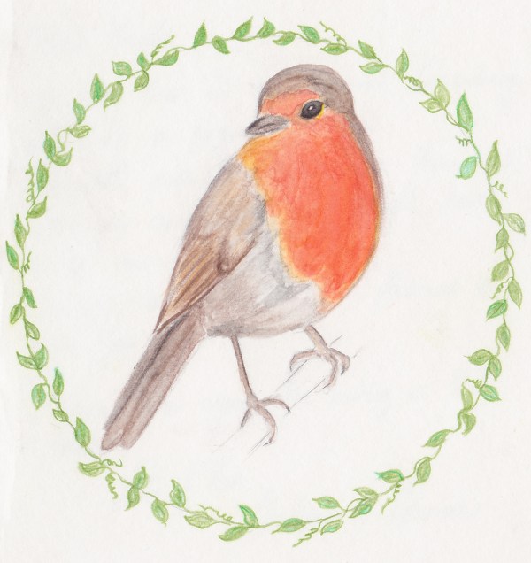 Robin-bird-card