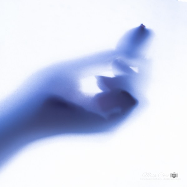 Miss-Coco-Beauty-Shot-6703