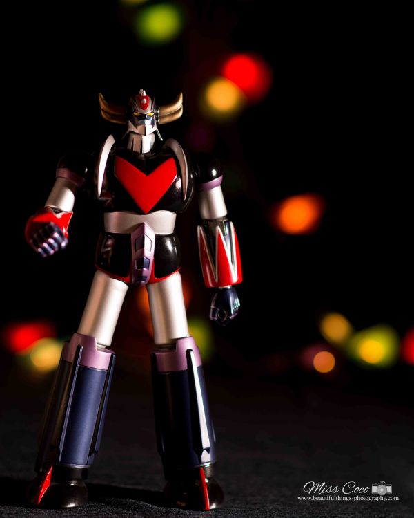 Miss-Coco-photography-047