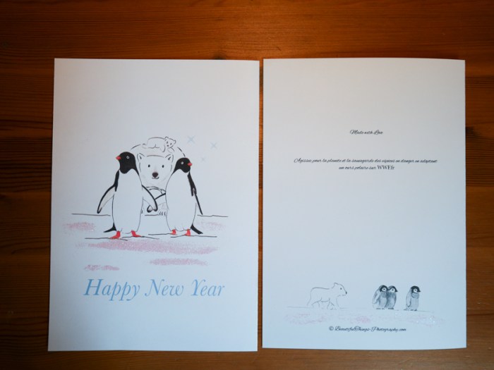 Miss-Coco-photography-New-year-design-1340376