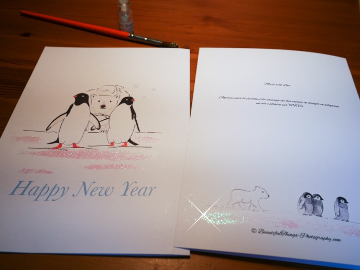 Miss-Coco-photography-New-year-design-1340380