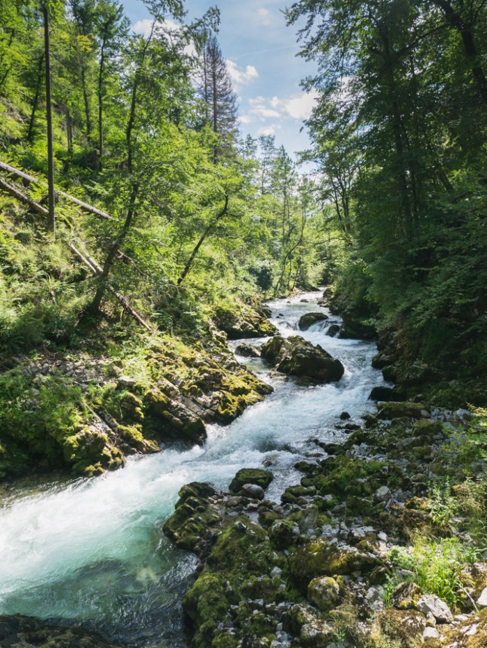 The Soka river - photography by Miss Coco