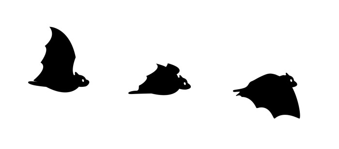 flying-bat-designed-by-miss-coco