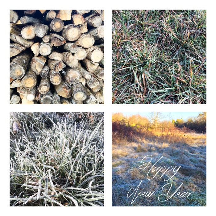 happy-new-year-from-miss-coco