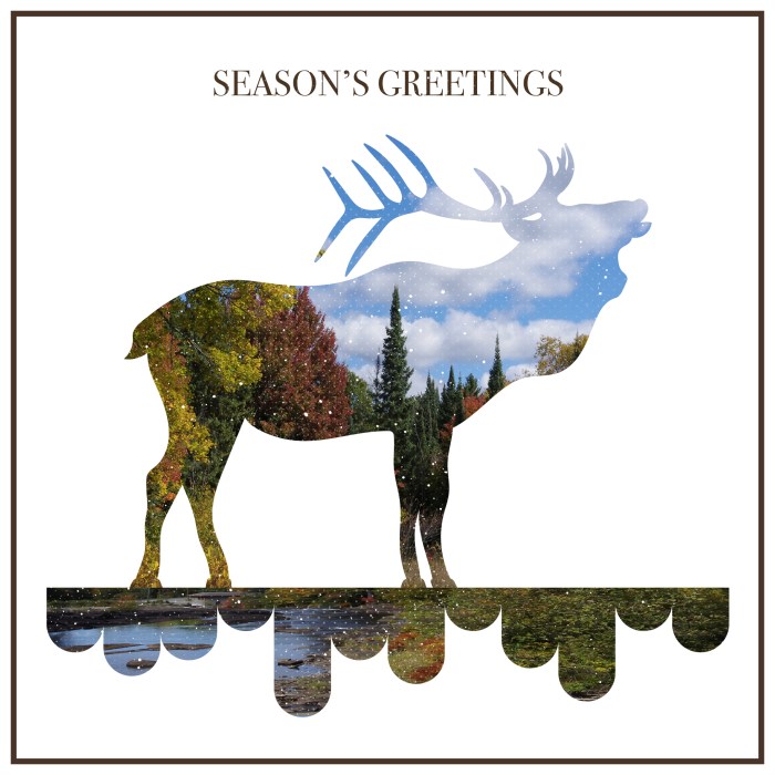 Season's greetings - Design by Miss Coco