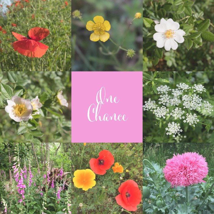 One Chance