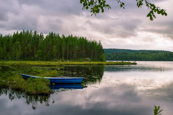A Lake in Sweden