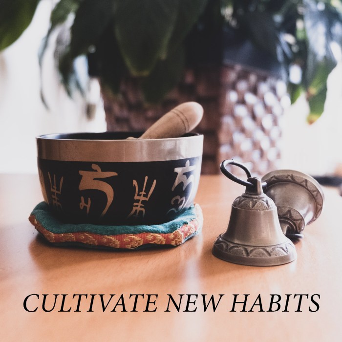 Cultivate new habits