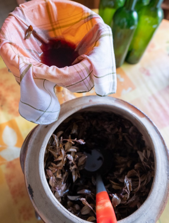 Pousse d'épine maceration end - bottleling up