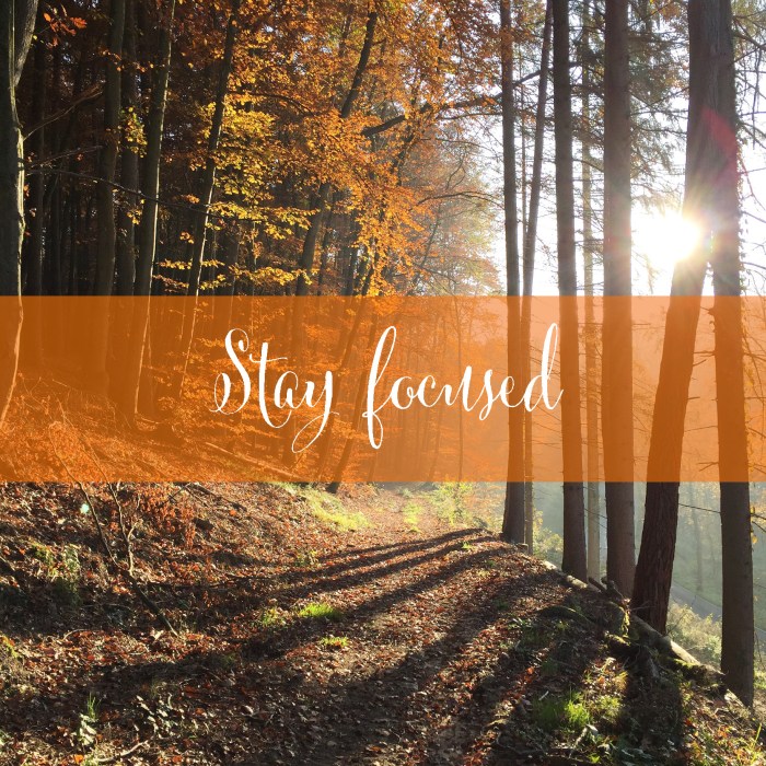 My Depth Year review - Stay focused