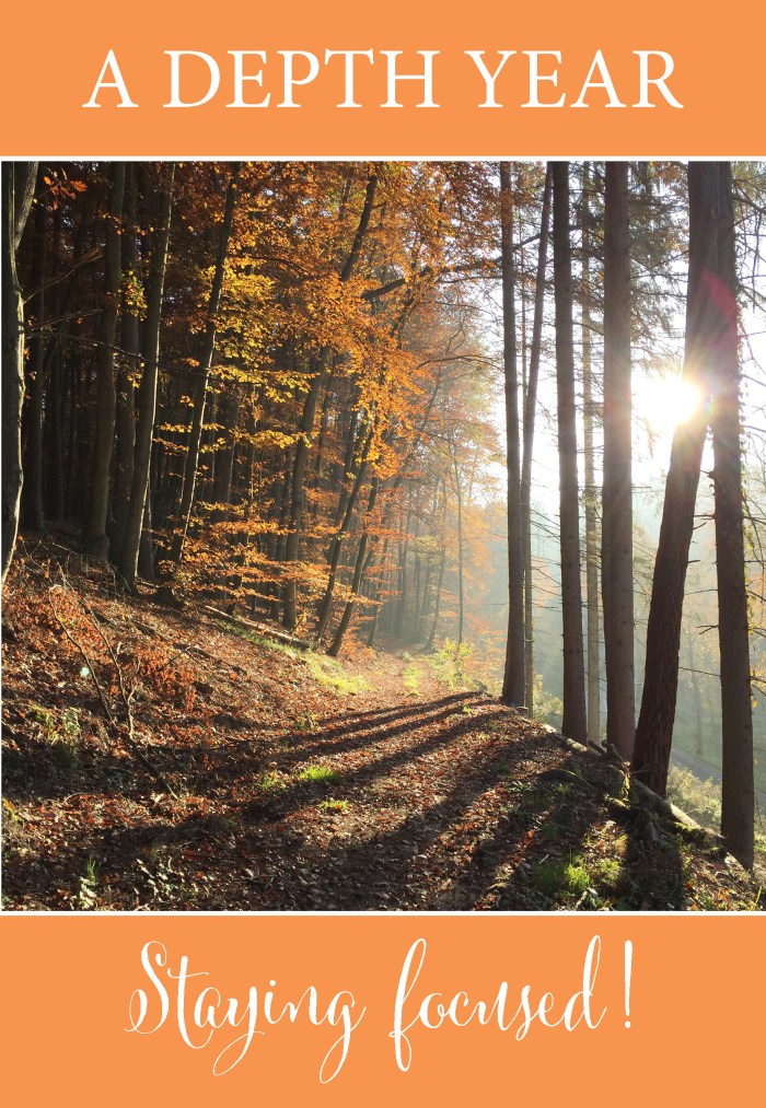 My Depth Year review - Staying focused