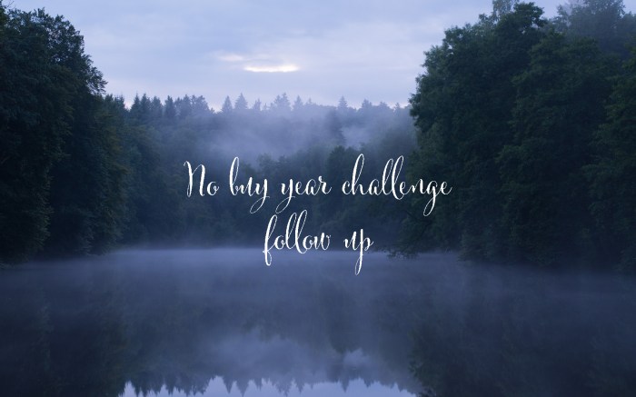 No Buy Year challenge follow up