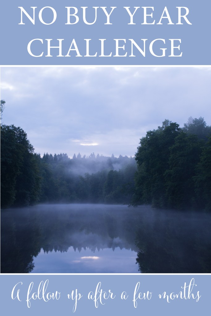 No Buy Year challenge follow up