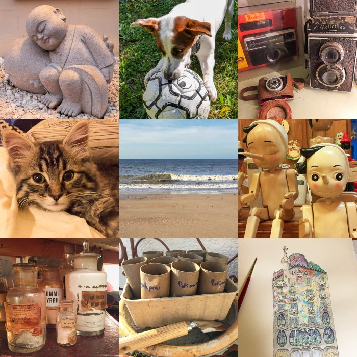 Confinement included activities