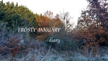 Frosty January - Jan 2021 diary