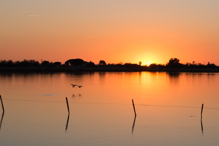 Having a scarcity mindset isn’t always a bad thing