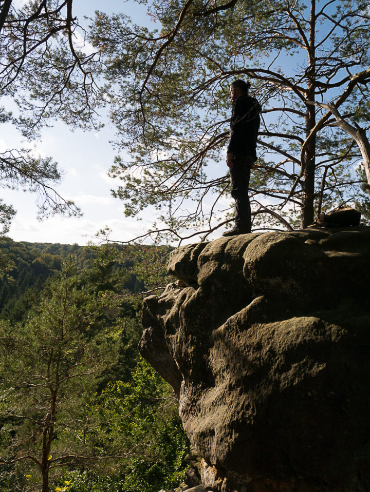 Veganism and Masculinity