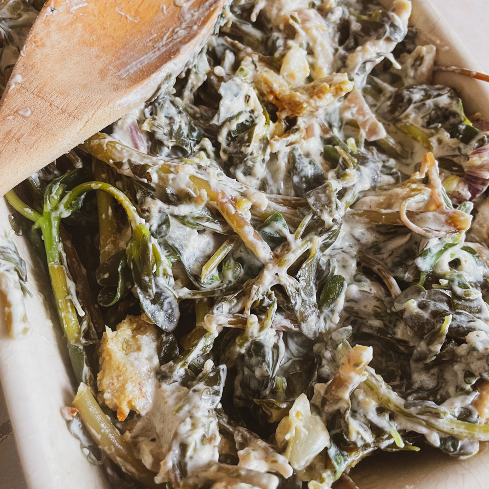 Cooking purslane to make a gratin