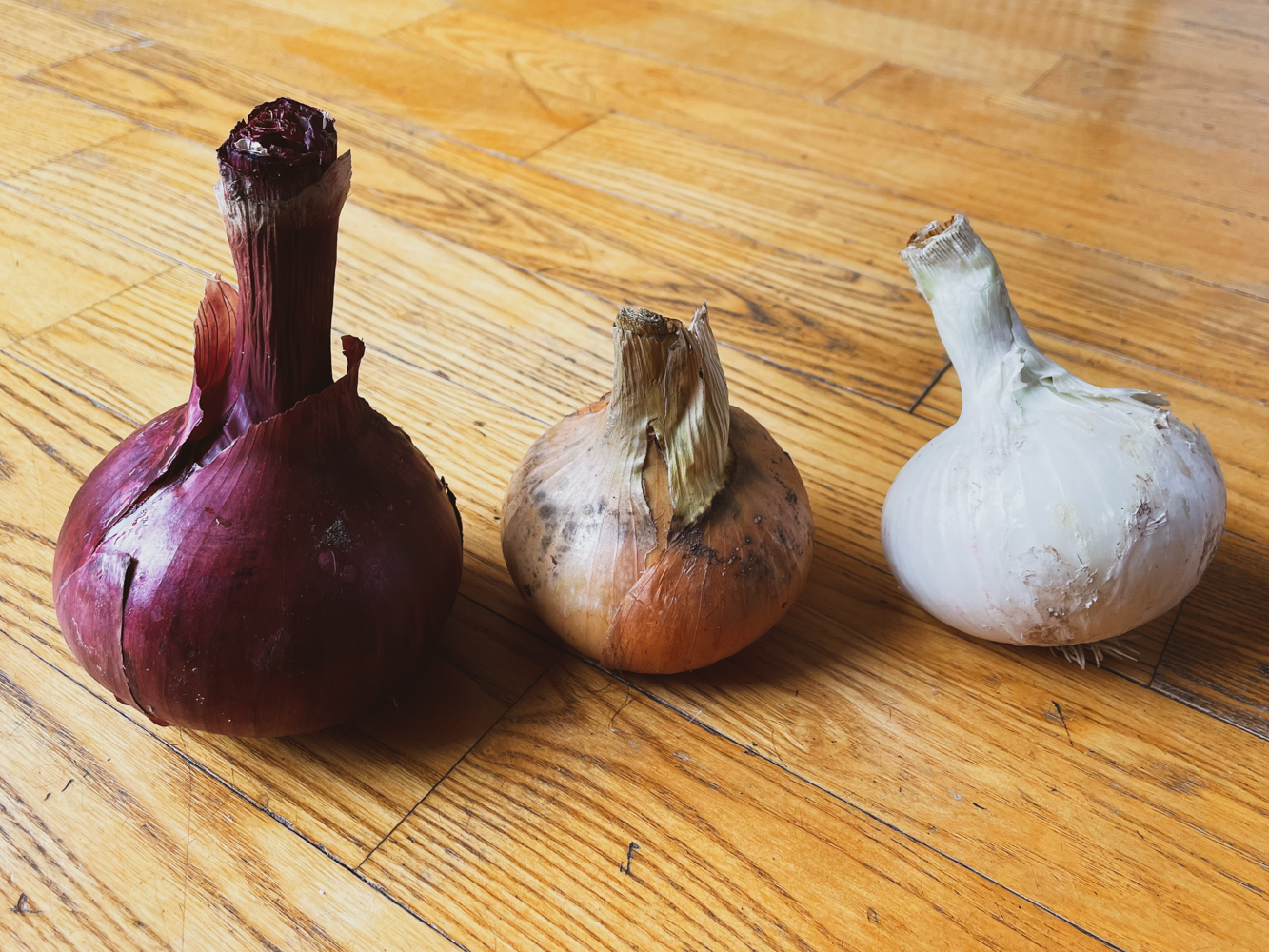 When life gives you onions