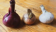 When life gives you onions