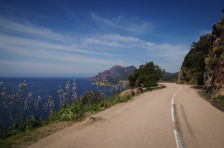 I sometimes wish I was a man