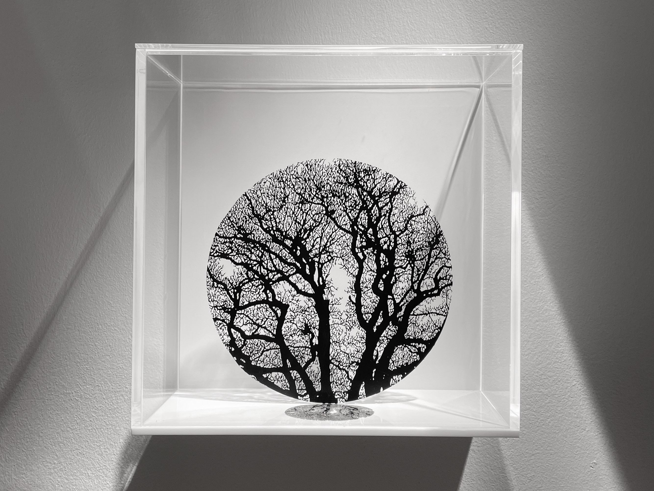 Zadok Ben-David: Natural Reserve at Kew Gardens