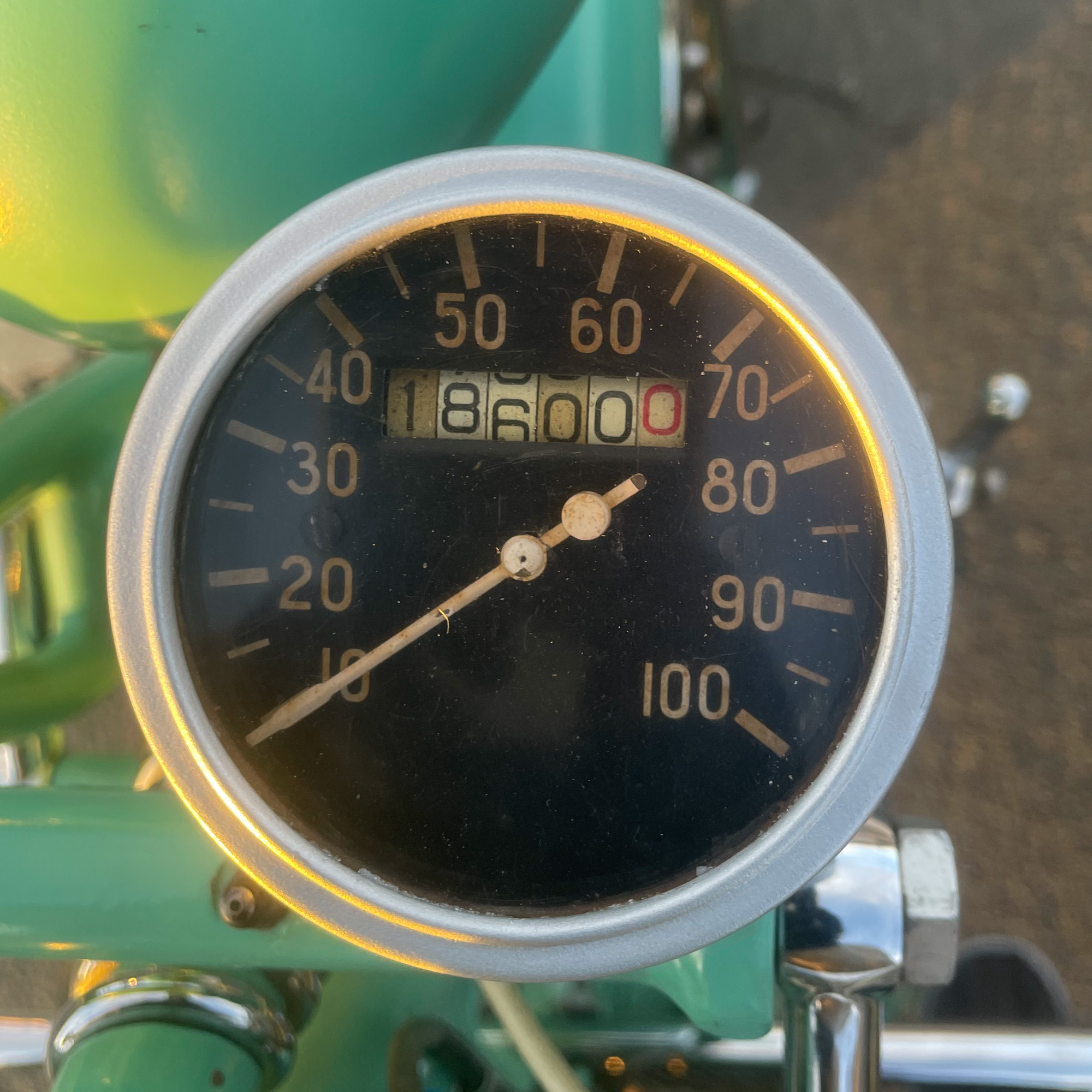 Riding on the 1st January