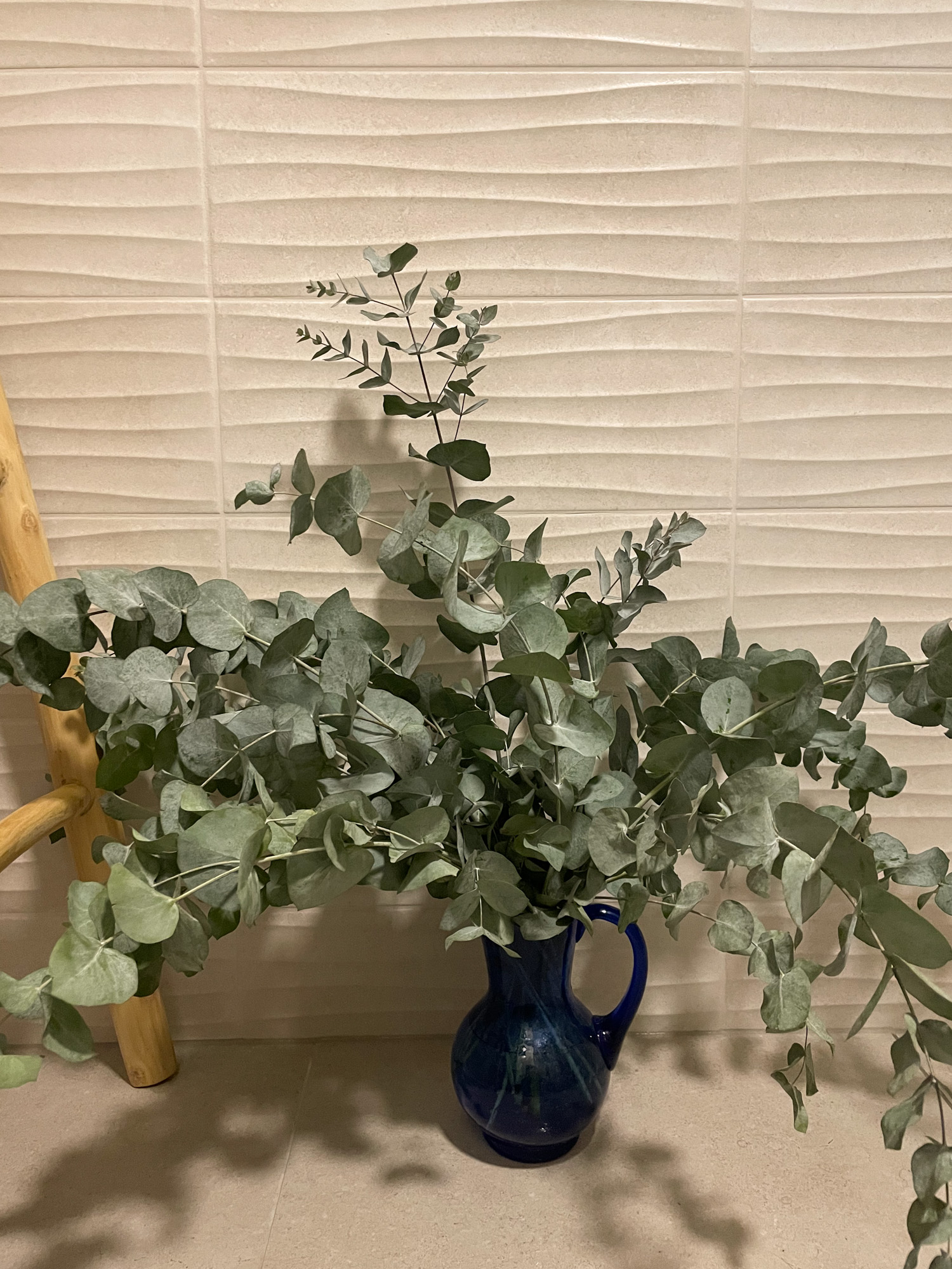 Eucalyptus in my shower