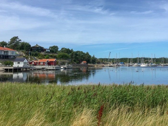 Don’t go on vacation to rest, it’s a waste of money!