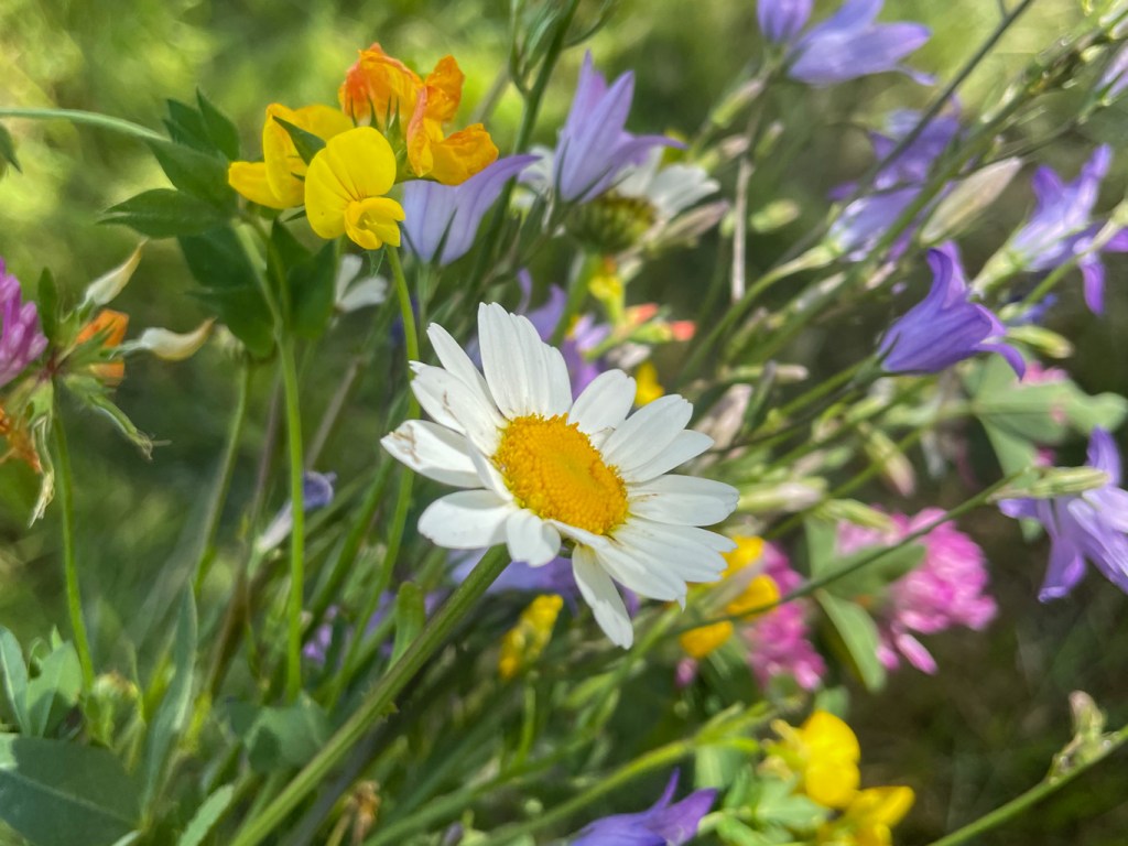 If I die tomorrow - memo