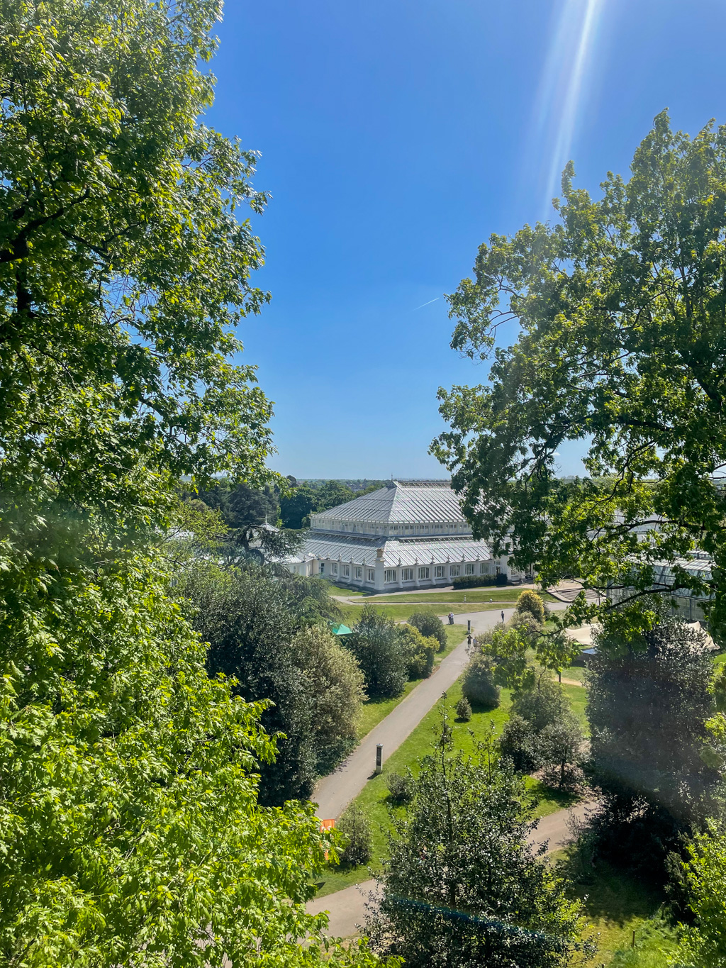 Kew Gardens from the treetop walkway
