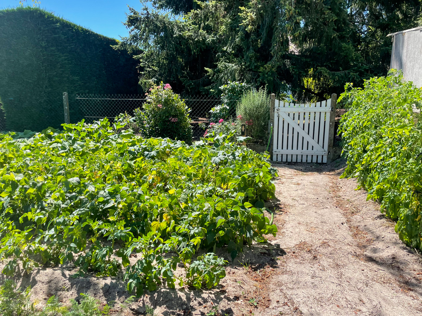 Little slice of heaven