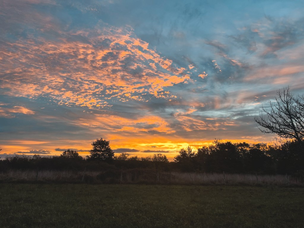 Another pretty sunrise