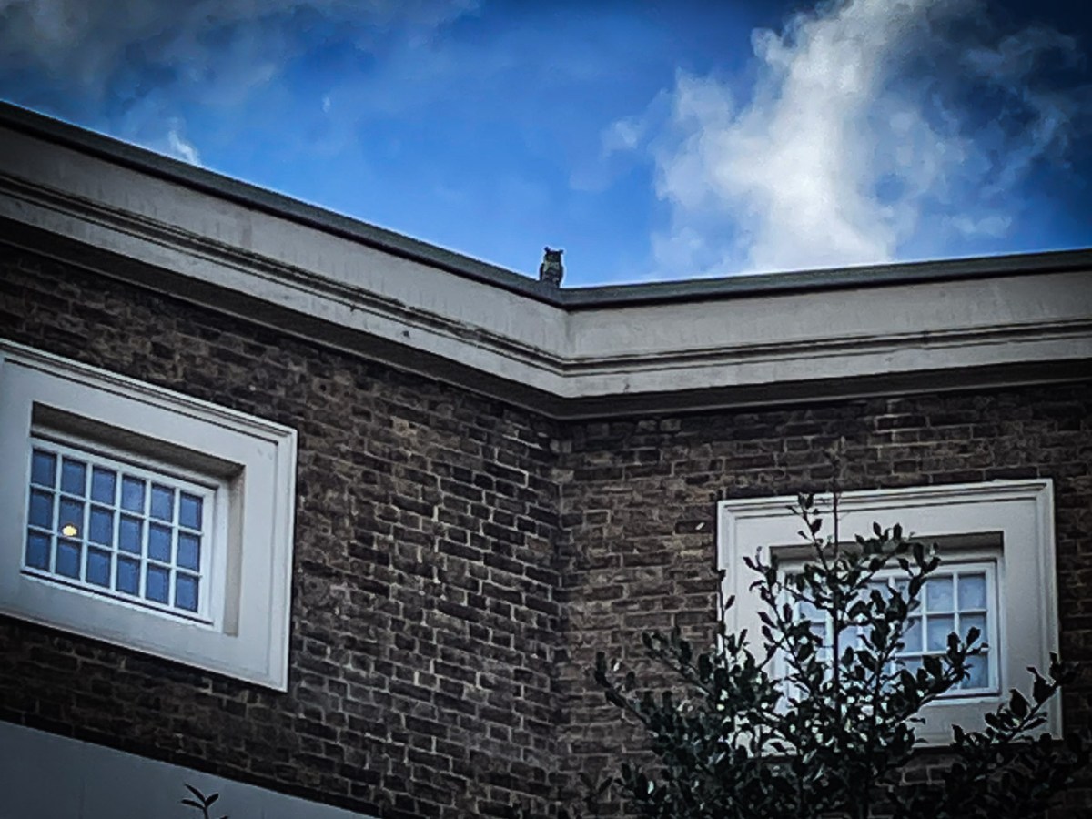 Getting old is scary and then it gets worse