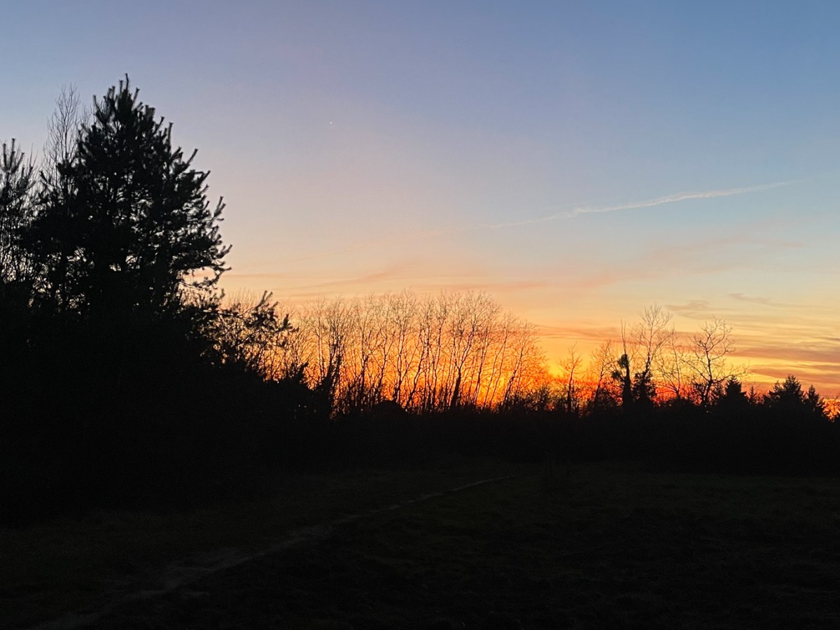 Tips for the most romantic Valentine’s Day (on a budget)