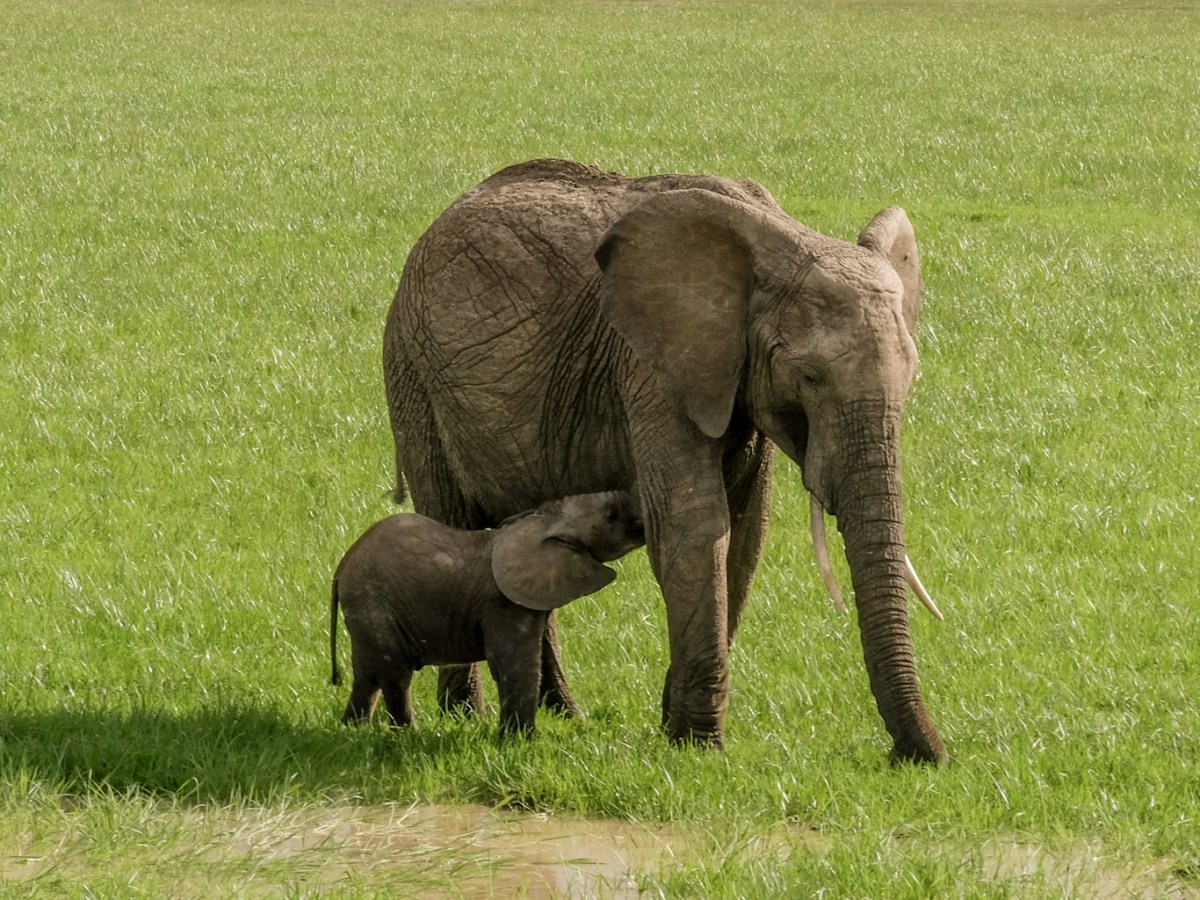 Shamelessly childfree! No, I have no regrets!