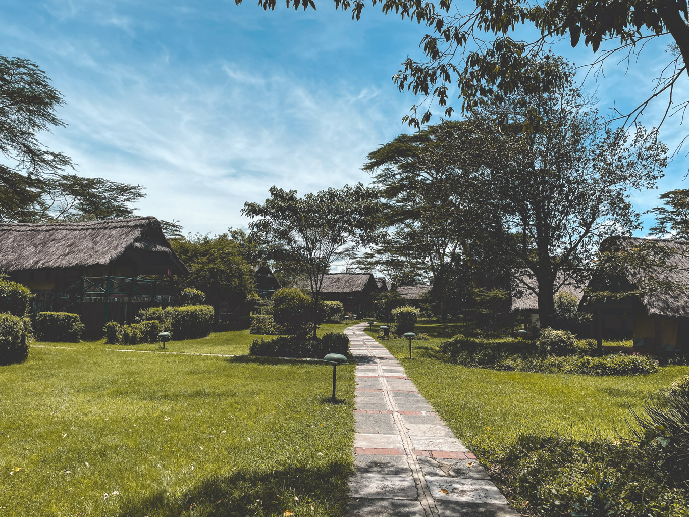 Camping at Mont Kenya