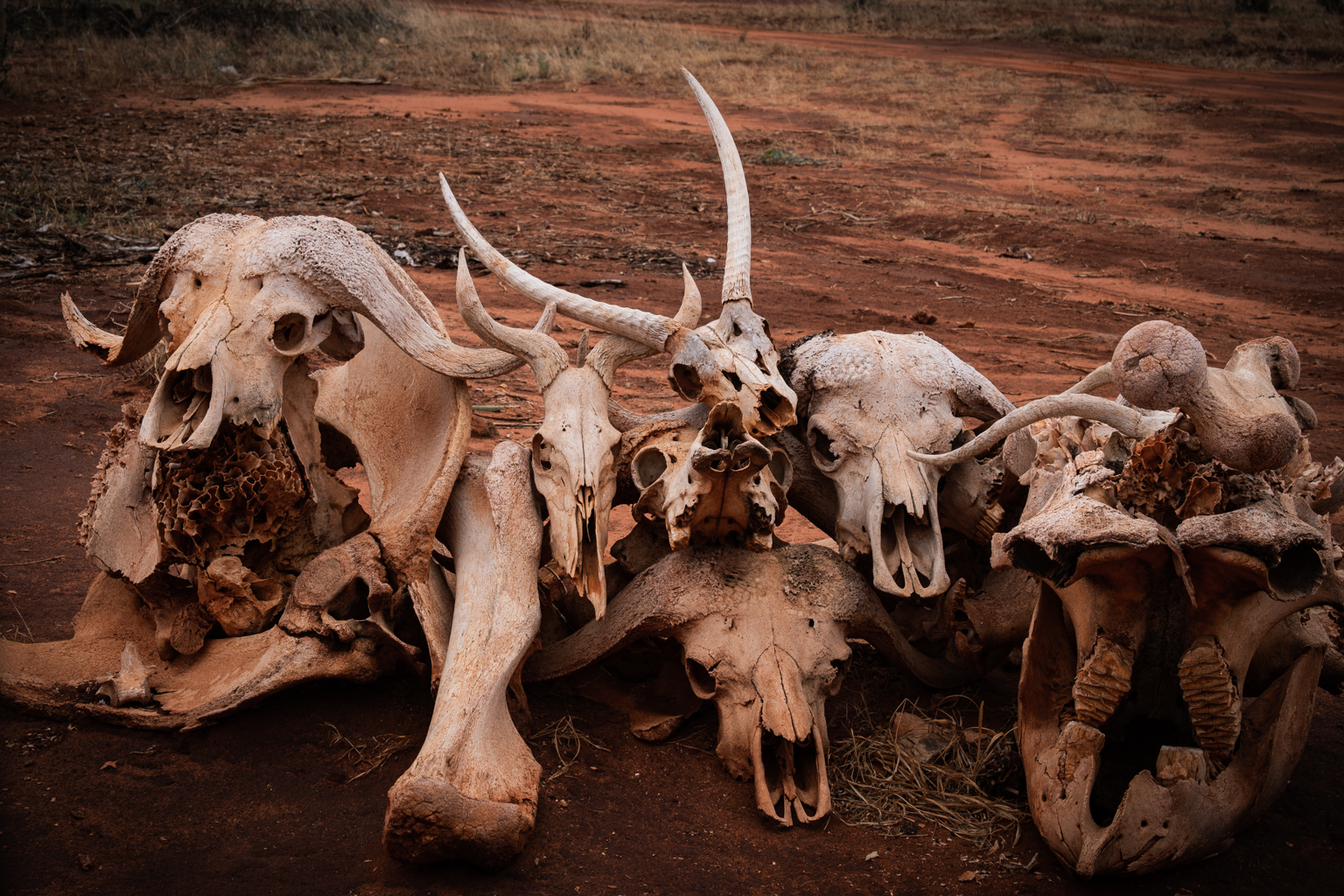 The Tates and the likes!