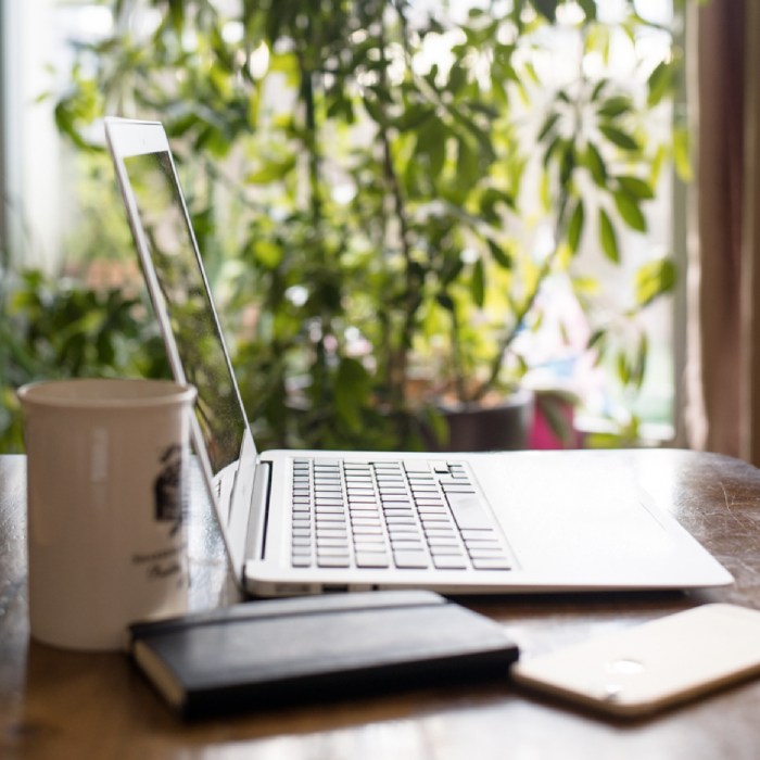 Do you want to become self-employed? (part 2)